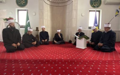 Proučen Jasini-šerif i kelimei-tevhid pred dušu hafiza Omer-ef. Džina