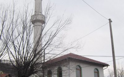 Najava
